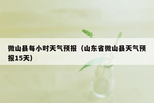 微山县每小时天气预报（山东省微山县天气预报15天）